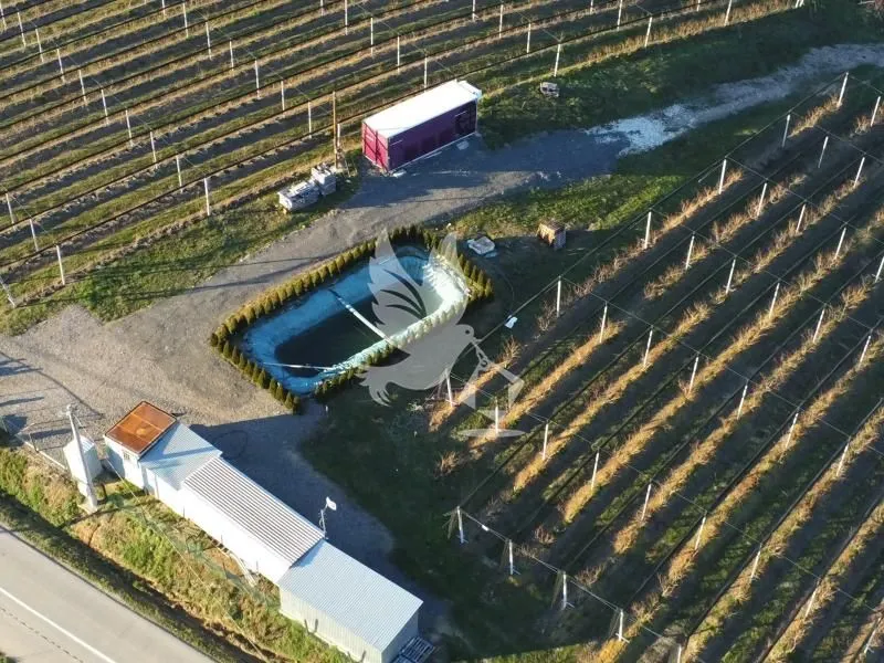 Prodaja, plac, 20000m², Nemenikuće, Sopot
