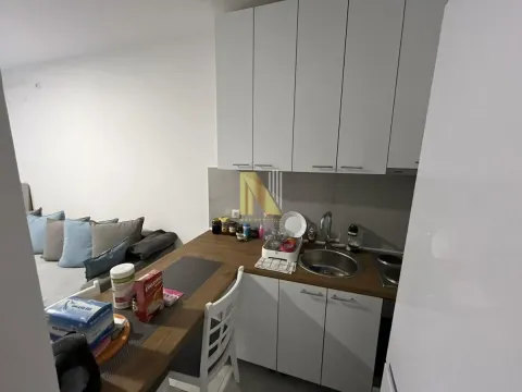 Izdavanje, jednosoban stan, 34m², Nova Detelinara, Novi Sad Sve Podlokacije - image 4