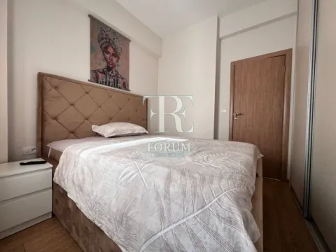 Izdavanje, jednosoban stan, 40m², Ljubović, Podgorica - image 8