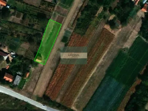 Prodaja, plac, 3426m², Mijatovac, Ćuprija - image 2
