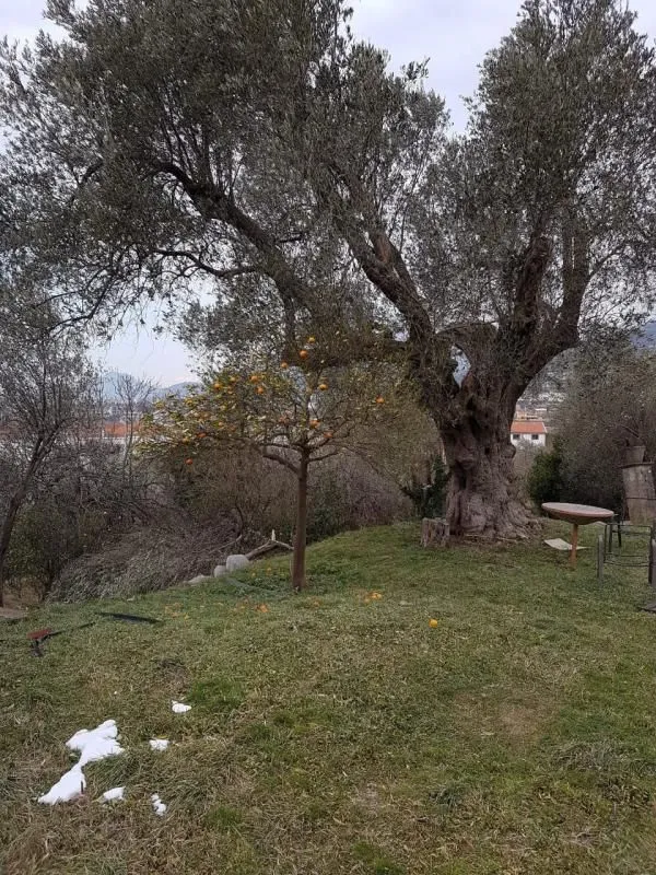 Sale, land lot, 2025m², Bartula, Bar