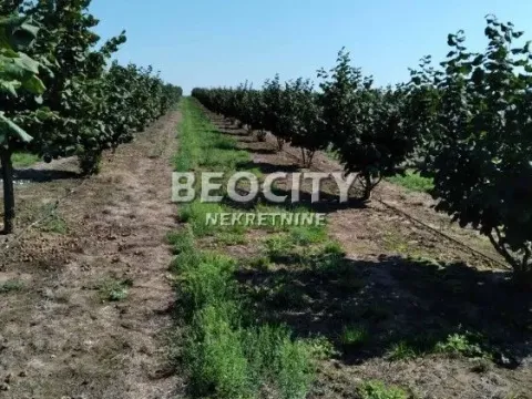 Prodaja, plac, 385m², Mramorak, Kovin - image 5