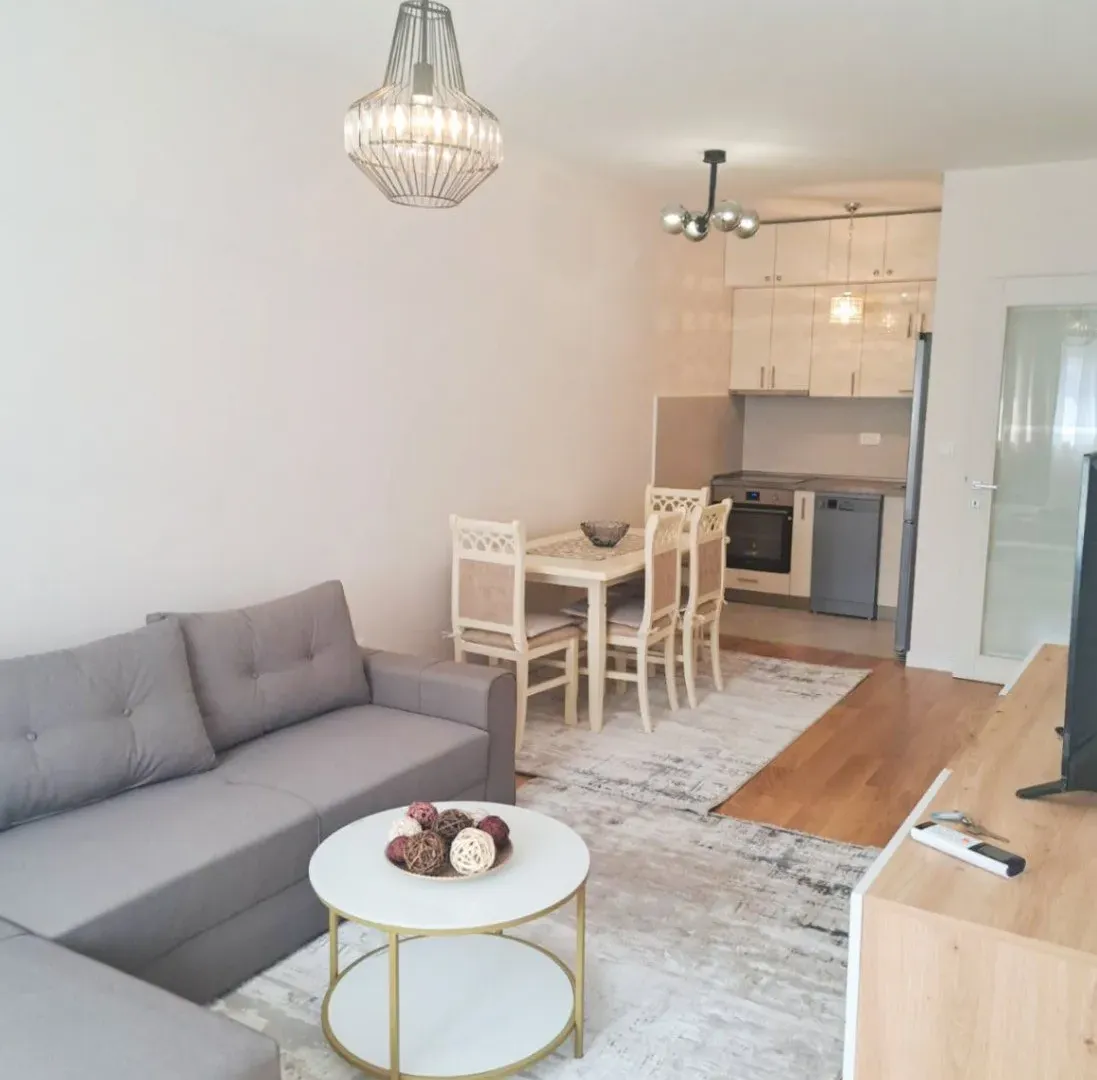 Rent, one bedroom apartment, 46m², Central Point, Podgorica