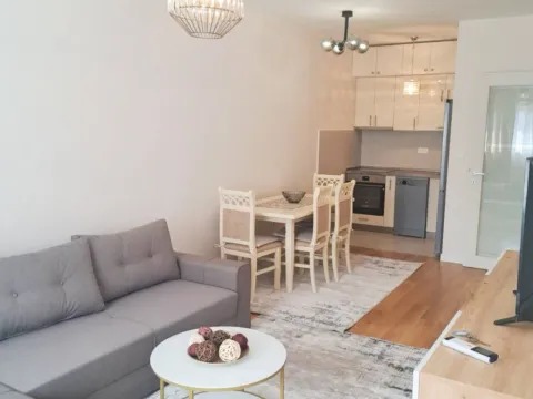 Izdavanje, jednosoban stan, 46m², Central Point, Podgorica - image 6