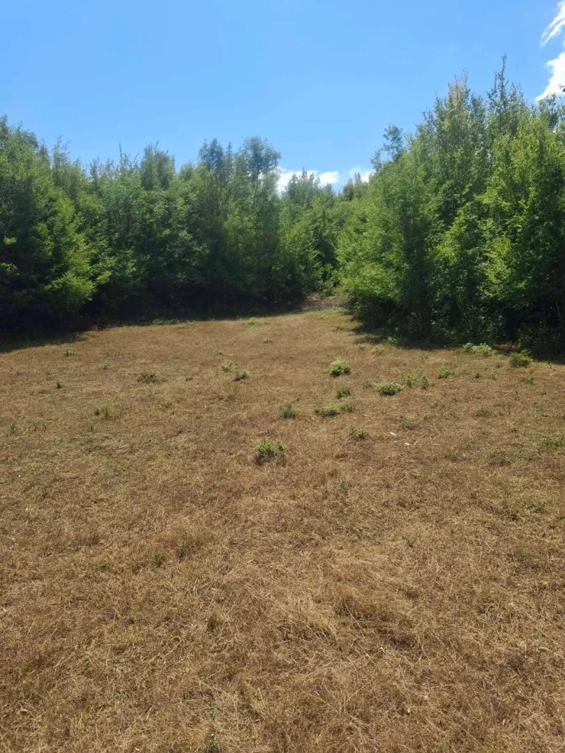 Sale, land lot, 80000m², Slap, Danilovgrad