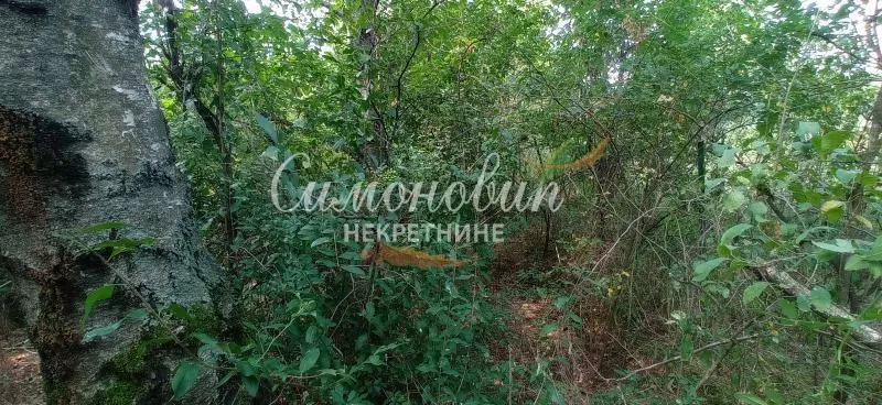 Prodaja, plac, 850m², Surčin, Beograd