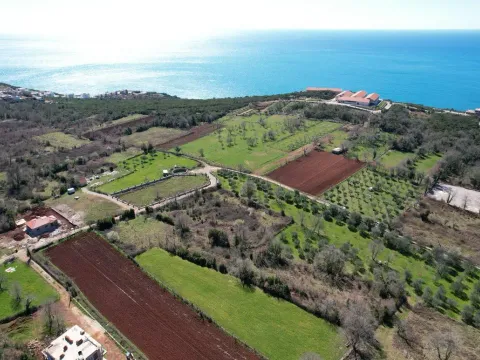 Prodaja, plac, 3520m², Krimovica, Kotor - image 3