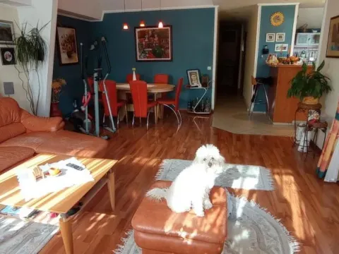 Rent, house, 95m², Sajmište, Novi Sad - image 7