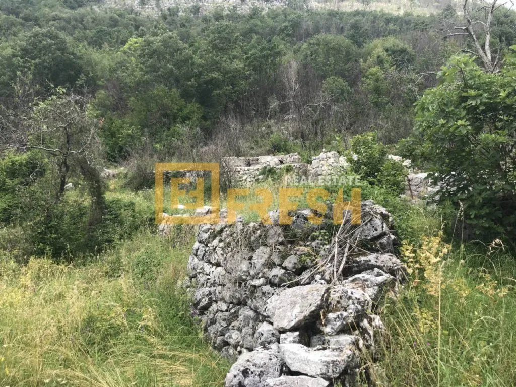 Prodaja, plac, 194723m², Cetinje, Crna Gora