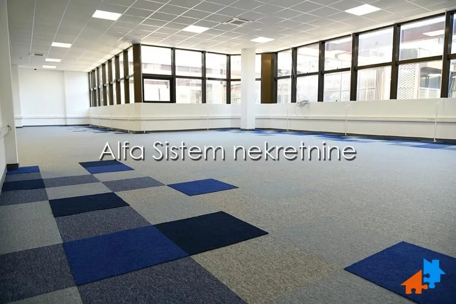 Izdavanje, poslovni prostor, 435m², Stari Merkator, Novi Beograd Sve Podlokacije