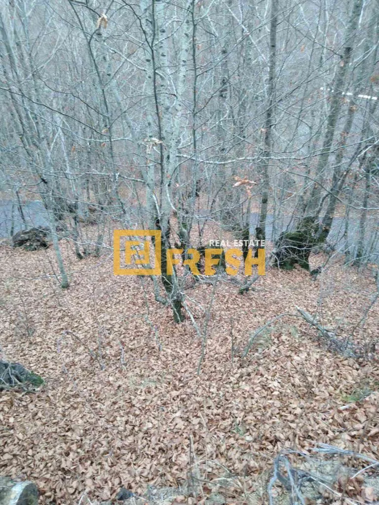 Prodaja, plac, 500m², Ostalo, Podgorica