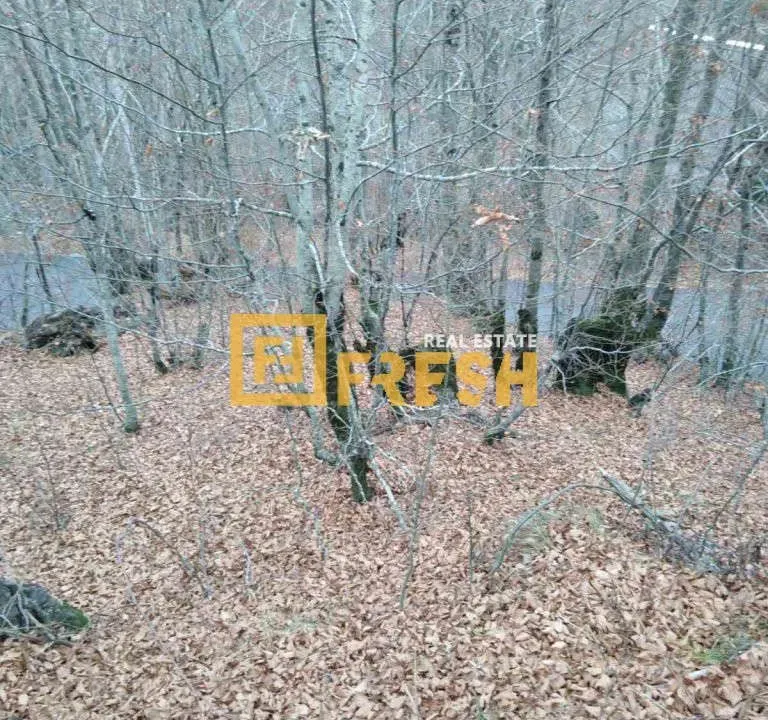 Prodaja, plac, 500m², Ostalo, Podgorica