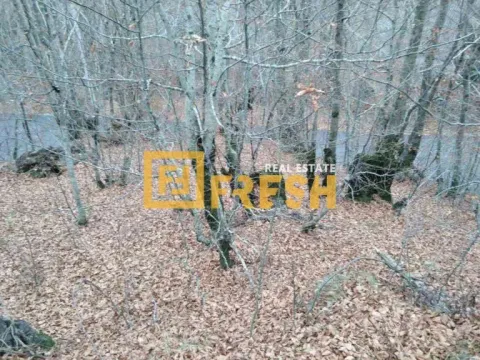 Sale, land lot, 500m², Ostalo, Podgorica - image 2