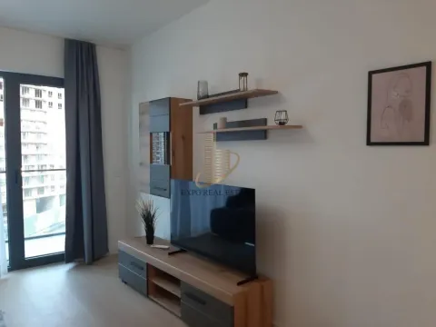 Izdavanje, dvosoban stan, 55m², Savski Venac, Beograd - image 5