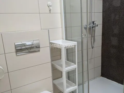 Izdavanje, dvosoban stan, 39m², Petlovo Brdo, Beograd - image 10