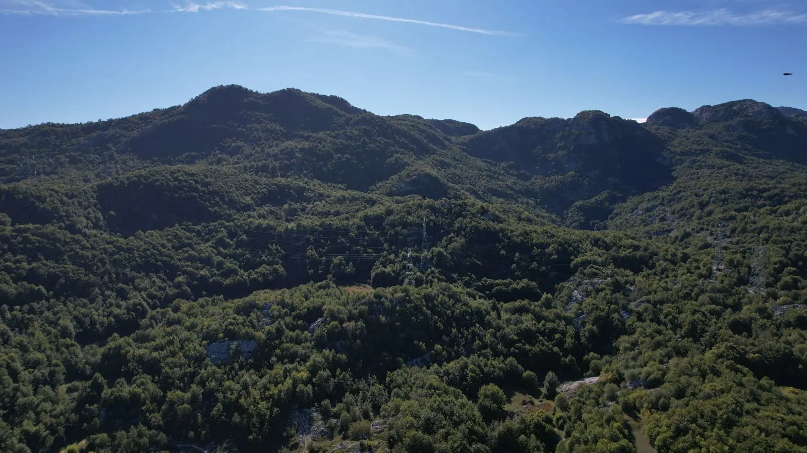 Prodaja, plac, 136850m², Cetinje, Crna Gora