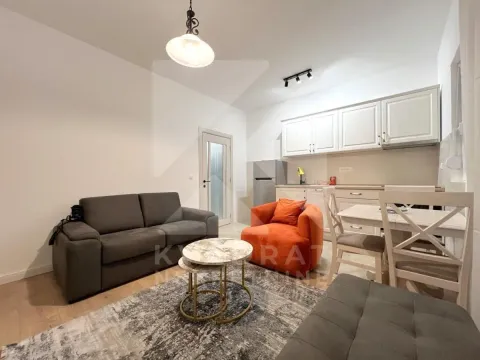 Izdavanje, dvosoban stan, 40m², Zabjelo, Podgorica - image 2