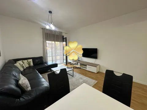 Izdavanje, jednosoban stan, 60m², Stara Varoš, Podgorica - image 5