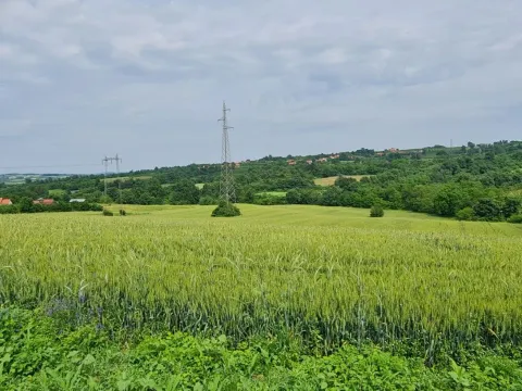 Prodaja, kuća, 75m², Čumić, Kragujevac - image 4