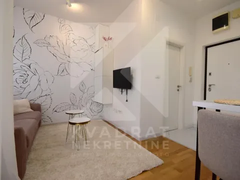 Izdavanje, garsonjera, 24m², Zabjelo, Podgorica - image 3