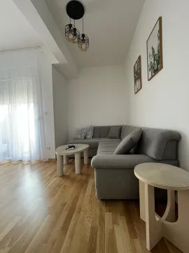 Rent, studio apartment, 25m², Zabjelo, Podgorica - image 5
