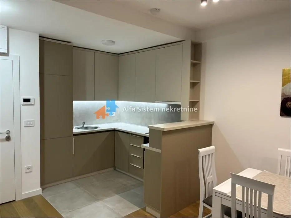 Izdavanje, dvosoban stan, 48m², Novi Beograd Sve Podlokacije, Beograd