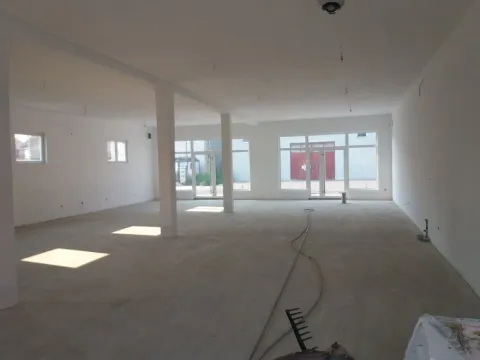 Izdavanje, poslovni prostor, 400m², Altina, Beograd - image 3