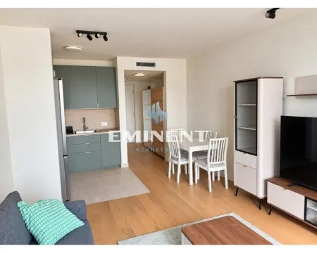 Rent, one bedroom apartment, 33m², Novi Beograd Blok 65, Novi Beograd Sve Podlokacije - image 7