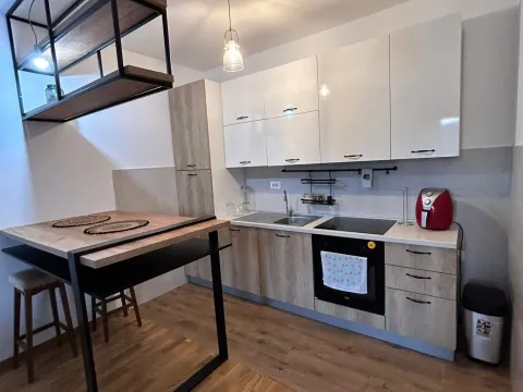 Rent, one bedroom apartment, 43m², Zabjelo, Podgorica - image 2
