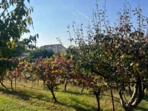 Prodaja, plac, 700m², Dalmatinska ulica, Podgorica - image 4