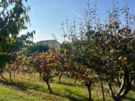 Sale, land lot, 700m², Dalmatinska ulica, Podgorica - image 4