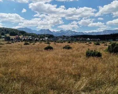 Prodaja, plac, 35832m², Žabljak, Crna Gora - image 1