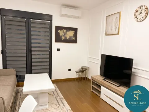 Izdavanje, jednosoban stan, 49m², Ljubović, Podgorica - image 4