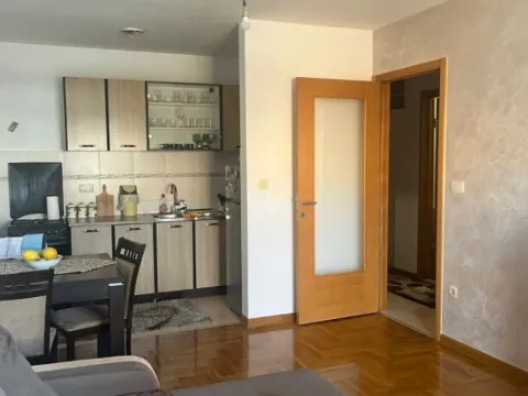 Izdavanje, jednosoban stan, 42m², Stari Aerodrom, Podgorica - image 8