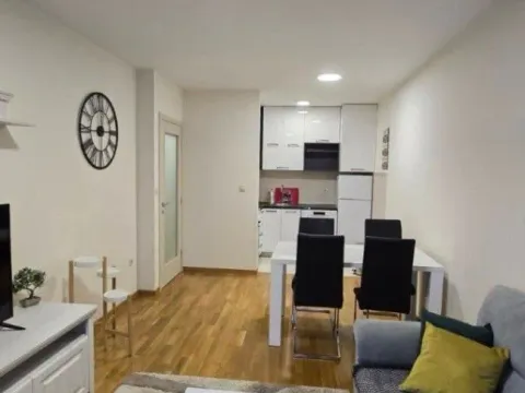 Izdavanje, jednosoban stan, 45m², City Kej, Podgorica - image 3