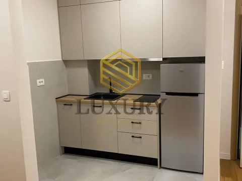 Izdavanje, jednosoban stan, 40m², Central Point, Podgorica - image 2