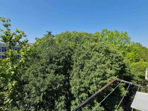 Izdavanje, jednosoban stan, 50m², Preko Morače, Podgorica - image 7