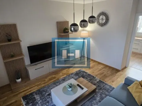 Izdavanje, dvosoban stan, 49m², Centar, Paraćin - image 2