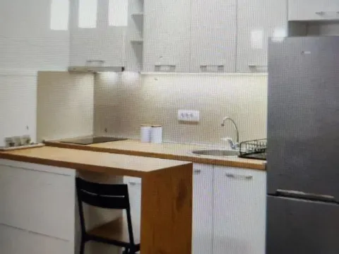 Izdavanje, dvosoban stan, 44m², Mirijevo 1, Mirijevo Sve Podlokacije - image 4