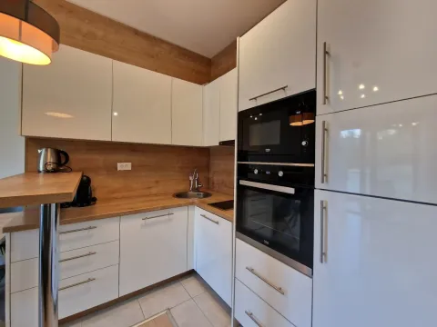 Izdavanje, jednosoban stan, 43m², Bečići, Budva - image 18