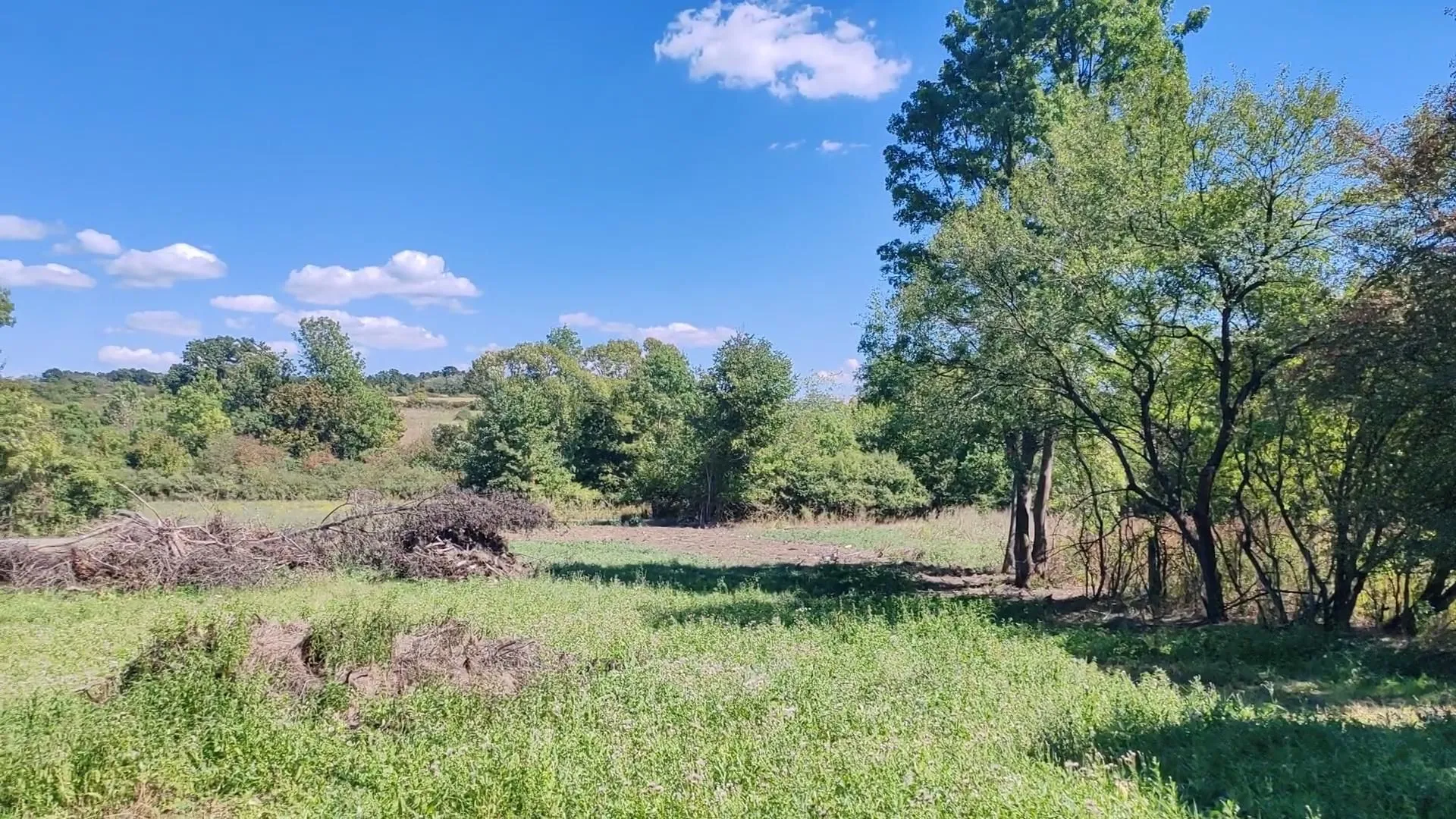 Prodaja, plac, 1581m², Veliki Borak, Barajevo