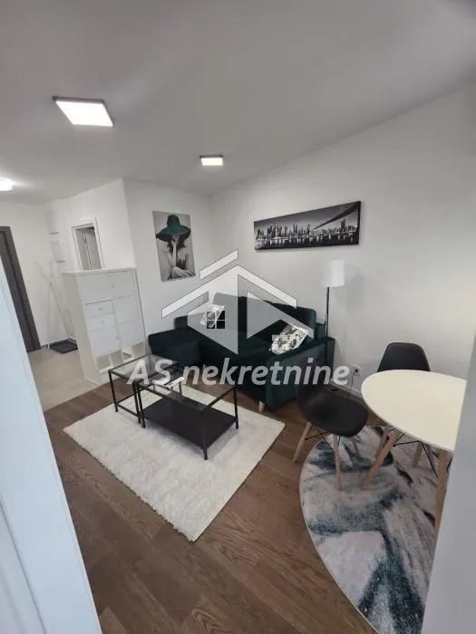 Izdavanje, stan, 40m², Hala Pionir, Palilula Sve Podlokacije