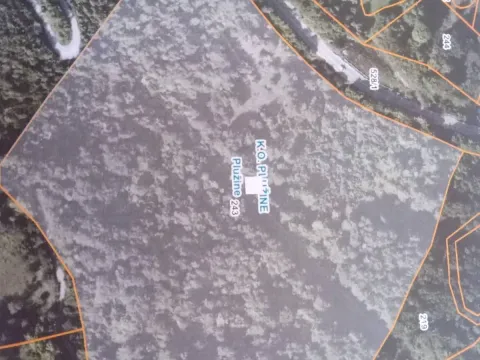 Prodaja, plac, 50263m², Plužine, Crna Gora - image 2