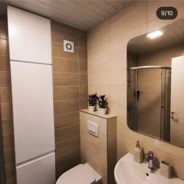 Manje kupatilo sa tuš kabinom, umivaonikom i ugradnim ormarom. - image 10