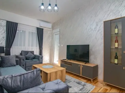 Rent, one bedroom apartment, 45m², Tuški Put, Podgorica - image 3