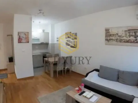 Izdavanje, jednosoban stan, 43m², City Kej, Podgorica - image 3