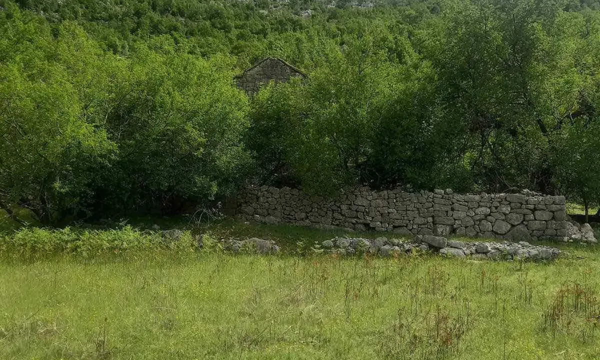 Prodaja, plac, 491760m², Dragalj, Kotor