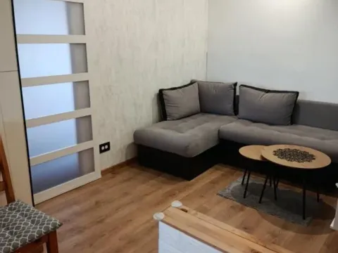Rent, two bedroom apartment, 37m², Novo naselje, Novi Sad - image 2
