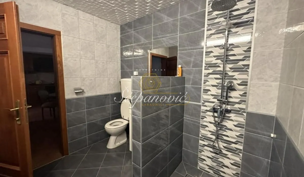 Rent, house, 215m², Salajka, Novi Sad Sve Podlokacije