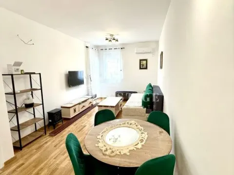 Izdavanje, jednosoban stan, 46m², Zagorič, Podgorica - image 2